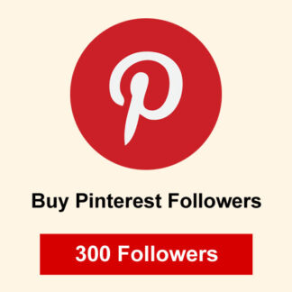Buy 300 Pinterest Followers