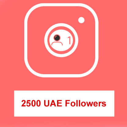 Buy 2500 UAE Instagram Followers