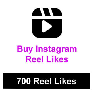 Buy 700 Instagram Reel Likes